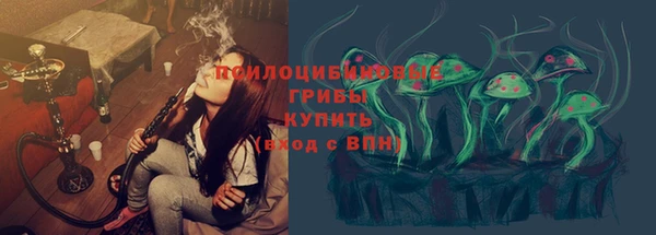 spice Протвино