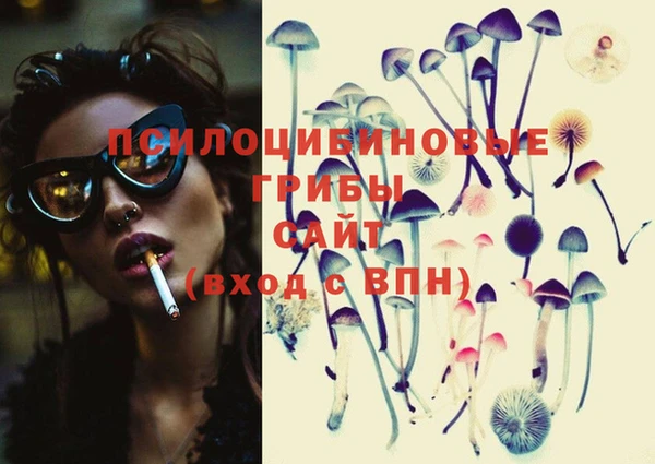 MESCALINE Аркадак